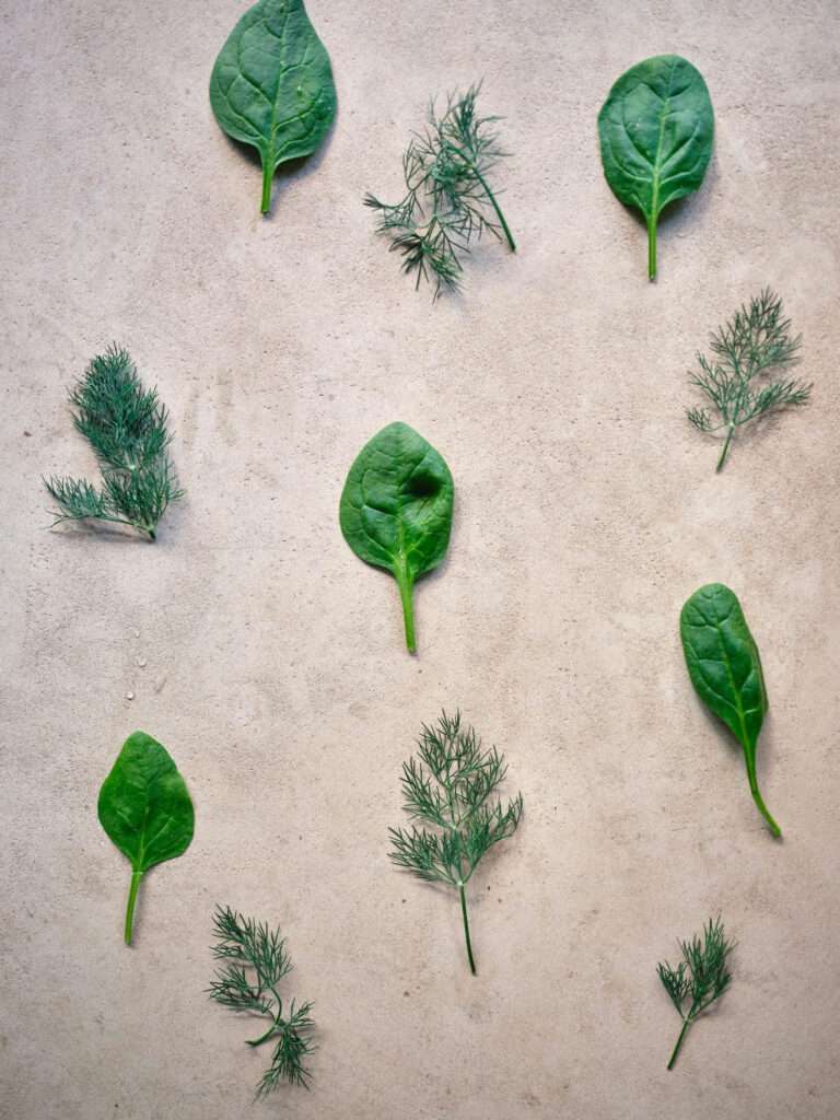 Playful and colorful ingredients used by Nikolas Koulepis, photographed like luxury items